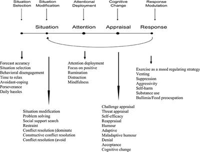 Frontiers | Integrating Emotion Regulation And Emotional Intelligence ...